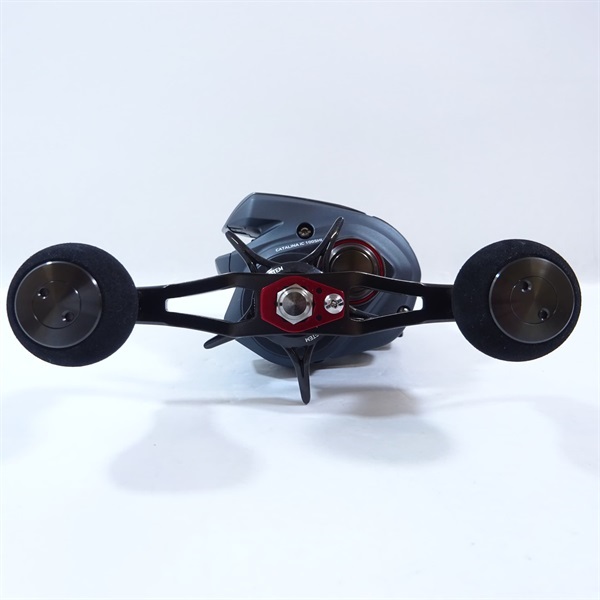 １８キャタリナＩＣ１００ＳＨＬ